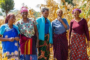 International Fund for Agricultural Development (IFAD)