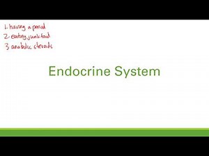 Endocrine System Introduction | Endocrine System | Step 1 Simplified