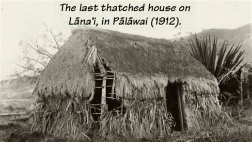 47K views · 1.1K reactions | We're celebrating#hawaiianhistorymonth -...