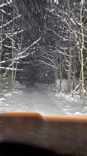 #Winterchaos #Surviver #Blizzard #PureEntspannung #Schneekonsorten