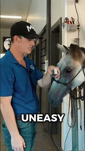 Easy First-Time Clipping