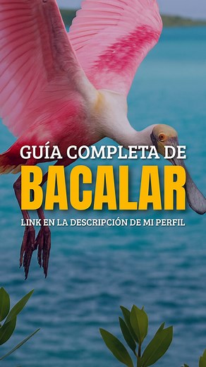 ¿Vas a viajar a Bacalar y no sabes qué hacer en este Pueblo Mágico, dónde hospedarte, qué tours convienen o cuánto cuestan? Sin mucha información puedes gastar de más y perderte lo mejor de la Laguna de #Bacalar. Llevo más de 8 años viviendo aquí. Todos los días me preguntan por hoteles en Bacalar, tours en Bacalar, lugares para visitar, balnearios, dónde comer y es imposible responder a todos. Por eso hice la Guía Completa Bacalar 2026 con precios reales, rutas, lugares gratuitos, tips de segur