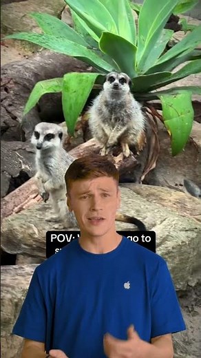 Send and request cash in Messages. Tip from Eden at the Apple Store. #Shorts