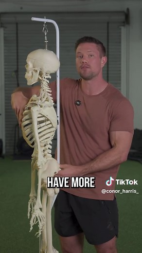 Beginner Body Restoration: Fix Pain, Posture & Mobility