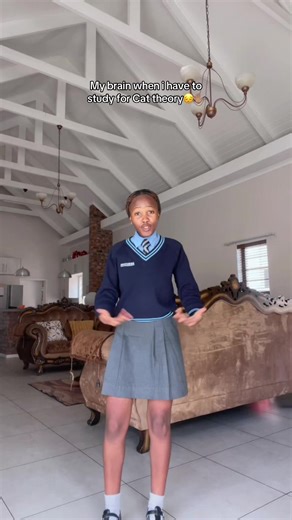 Preparing for CAT Theory: Study Tips for Success