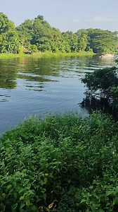 Shakhawat Hossain on Reels