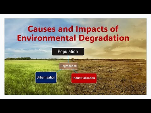 Causes and impacts of Environmental Degradation | Population | Urbanisation | Industrialisation |