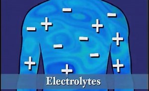Overview Of Fluids And Electrolytes