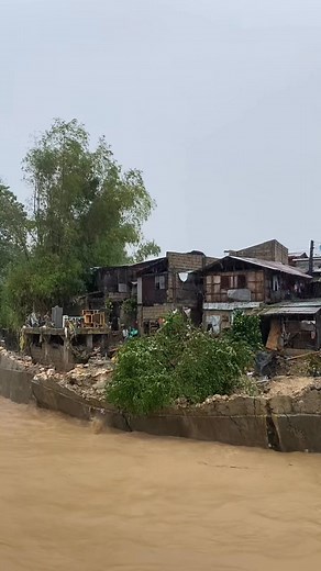 1.3M views · 9.5K reactions | Fvck the people behind substandard...