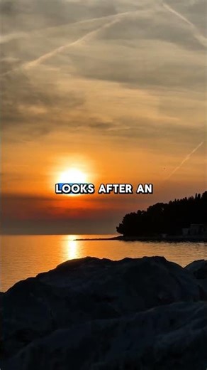 Sahih al-Bukhari, 6005 | #shorts #youtubeshorts #shortsfeed #hadith #viral