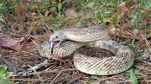 5.7K views · 86 reactions | Last week we had the opportunity to...