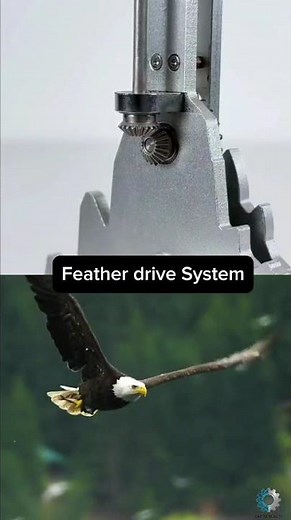 Feather Drive System | Eagle Flapping Wing Mechanism for Ornithopter & Biomimicry #reels #trending