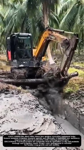 Smart Excavator Digging Irrigation Canal in a Coconut! #shorts