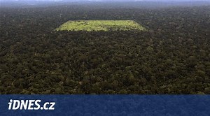 Zdecimované pralesy se změnily na zdroj oxidu uhličitého, ukázal výzkum - iDNES.cz