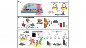 2. Exploring the Spatial Control of Topotactic Phase Transitions Using Vertically Oriented Epitaxial Interfaces https://link.springer.com/article/10.1007/s40820-021-00752-x | Nano-Micro Letters | Facebook