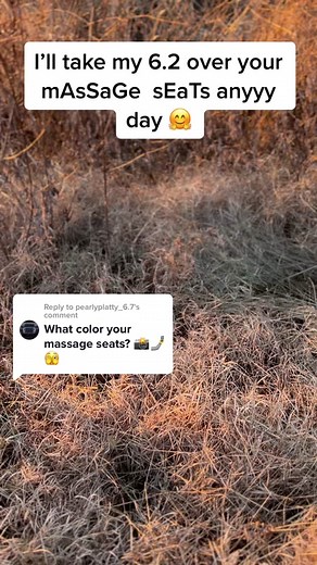 Replying to @pearlyplatty_6.7 much love🫡. This shoud upset some people😳🤧#denali #gasser #stocks #grapps #35s #gmc #sixtwo #fypシ