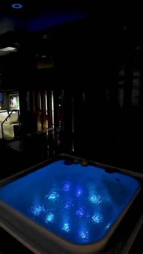 Live your best life in the lap of luxury! ✨ #luxurylifestyle #highendfashion #traveldiaries #fashionista #glameveryday #ootd #trendingnow #viralpost #instagramfamous #luxuryvibes #elegancepersonified #sophisticatedstyle #gourmetdining #travelinstyle #fashionblogger #luxurytravel #homedecor #interiordesign #luxuryhome | Oyster LifeStyle