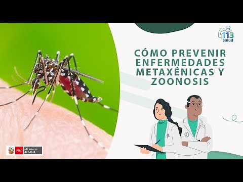 Cómo prevenir enfermedades Metaxénicas y Zoonosis