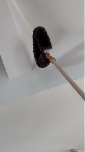 Comment nettoyer les cages d’escalier et plafonds avec une tête de loup ?