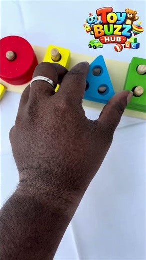 Color Sorting Game | Montessori Toy for Kids