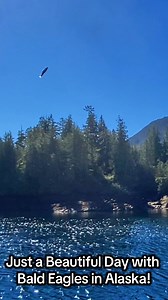 1.1K views | I was so excited to see my first bald eagles in the wild in Alaska! They are such magnificent creatures. #travel #traveler #travelwithme #bucketlist #travelling #traveling #alaska #birds #Eagles #baldeagle @Alaskacrabtour | Maria’s Wanderlust Life | Facebook