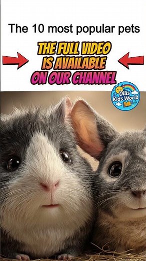 🐹 #5 Small Rodents – Hamsters, Mice & Guinea Pigs! 🐭🐹 | Top 10 Pets for Kids