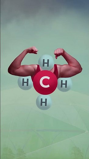 Cow farts EXPLAINED!