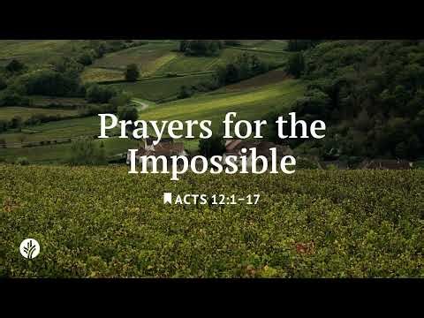 Prayers for the Impossible | Our Daily Bread | Daily Devotional