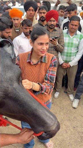 Yaari (Official Video) Masoom Sharma | Rohit Lamba, Vinay Yadav | New Haryanvi Songs Haryanavi 2025