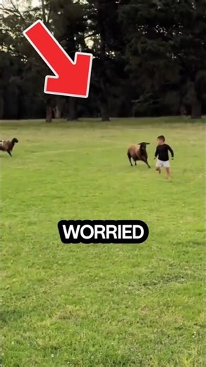 Animals Save Kids in Incredible Moments You Won’t Believe #animals