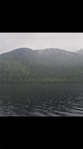 Gregory Deboo on Instagram: "Kayaking in a lake along old logging blocks from the 70s or 80s im not 100% sure. Logging is potentially an unlimited resource in canada , we just need it managed properly and on longer cycles . #pacificnorthwest #bcisbeautiful #explorebc #outdoors #bcexplorer #kayaking #kayak #logging #logs"
