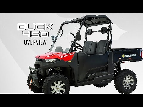 Massimo Buck 450 Walkaround