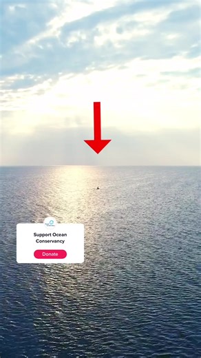 Join #TeamSeas to Make a Positive Impact