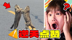 2025最火的视频，你看过几个?!