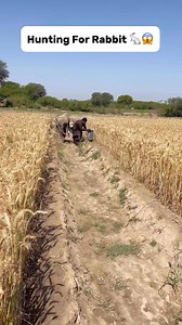 Hunting for Rabbit 🐇😱 #hunting #rabbit #bunny #farming #farmer #reels | Farmer hunter
