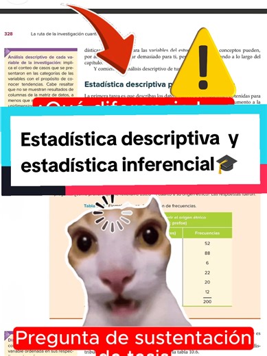 Estadística Descriptiva e Inferencial en Tesis Académicas