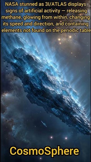 The Hidden Cost of Your Gasoline