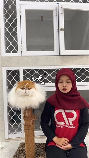 Dewarangga on Instagram: "Promo pay day Dewarangga banyak diskon voucher dan gratis ongkir! 🥳🥳 #payday #promo #promoakhirtahun #anabulsehat"