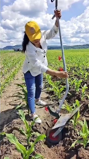 Amazing hand pulling plough for rural farmers | Farming tools #tools #farming