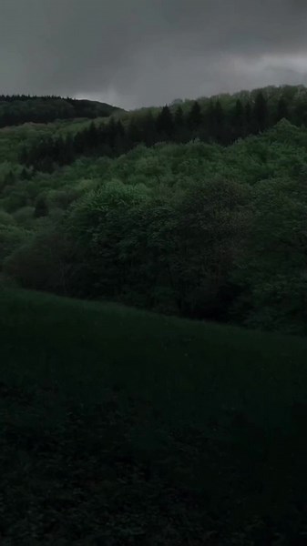 #CapCut yall help when i try to download images from flaticon they wont so i have to screenshot them. then remove the background then use them😭#fyp #mapping #mapper #maps #mappingvideo #mappers #map #military #finland #history #historical #lol #land #territory #ww2 #wanted #finnish#ww2infinland @Croatian maps! @Саха Өрөспүүбүлүкэтэ—13 OWNERS @