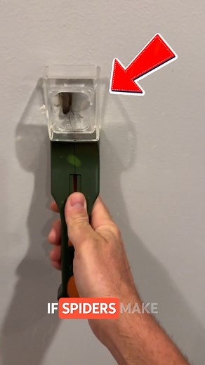 2.9K views · 12 reactions | How to Trap Bugs Without Touching Them Hate touching bugs? This smart bug catcher lets you trap insects easily without ever getting close! With its gentle suction and extended handle, you can safely release them outside. Perfect for homes, offices, or schools—eco-friendly and humane. #smartliving #EcoFriendly #home #hacks #trap Credit : @diyamerican, @annec1475, @amazon.reviews2000, @thevincentfam7924, @DiyzelLegiance / yt | The Viral Portal News | Facebook