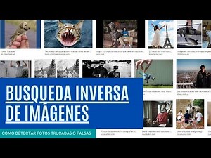 Cómo Detectar Fotos Falsas en Internet: Guía Completa de Búsqueda Inversa de Imágenes 🕵️‍♀️🖼️