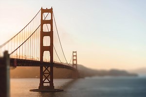 27 Funny Dog Quotes With Images - YEGOB