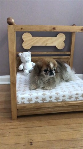 I made a bed for my boy Clyde #doggos #woodwork #foryoupage #fyp