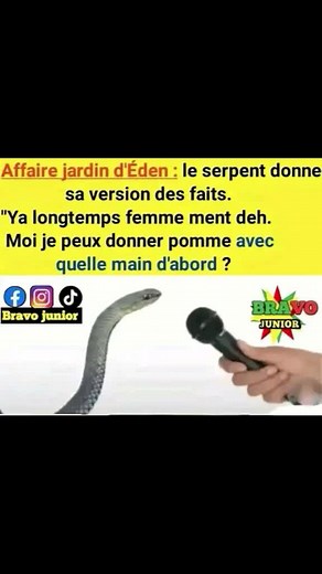 Explore the Graceful Movement of Snakes