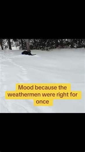 Understanding Weather Predictions for Snow Events