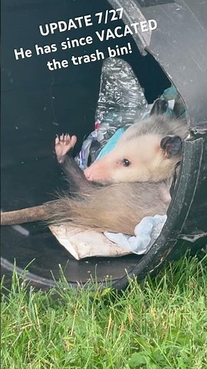 George “Piper O’Possum” UpDave