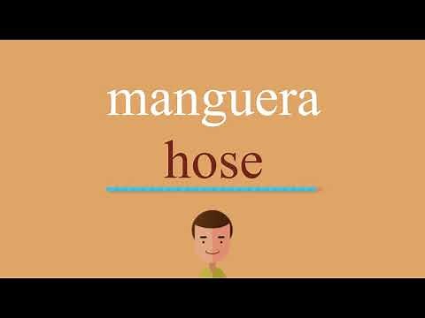Cómo se dice manguera en inglés
