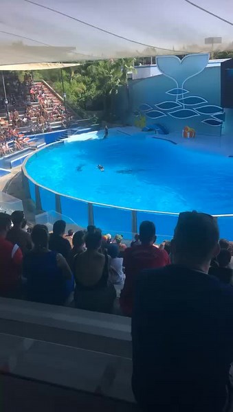 She played dead so they would save her 🥺 #foryoupage #viral #xyzcba