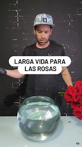 Estos métodos ayudan a minimizar la descomposición bacteriana y a mantener las flores frescas por más tiempo. #rosas #flores #consejos #tips #hack | Gabo de las flores